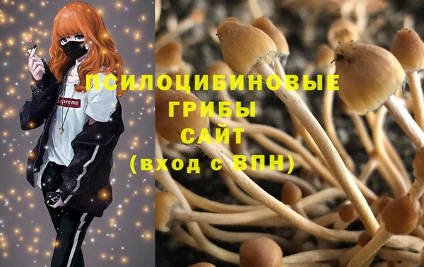 кокаин колумбия Алексин
