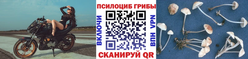 Псилоцибиновые грибы ЛСД  где купить   Майский 